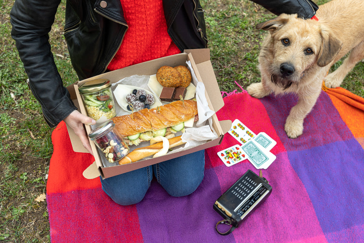 Nomád Piknik