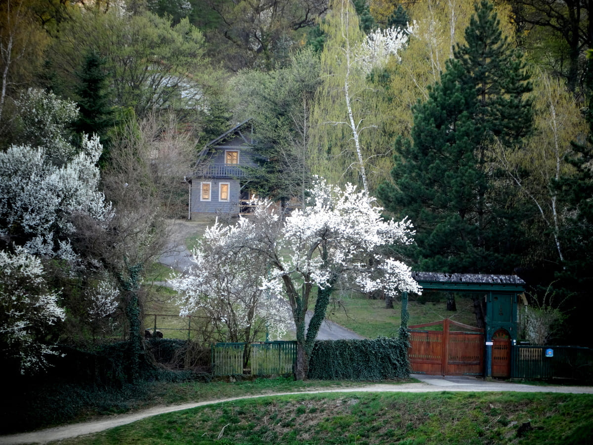 Luxury wooden bungalows